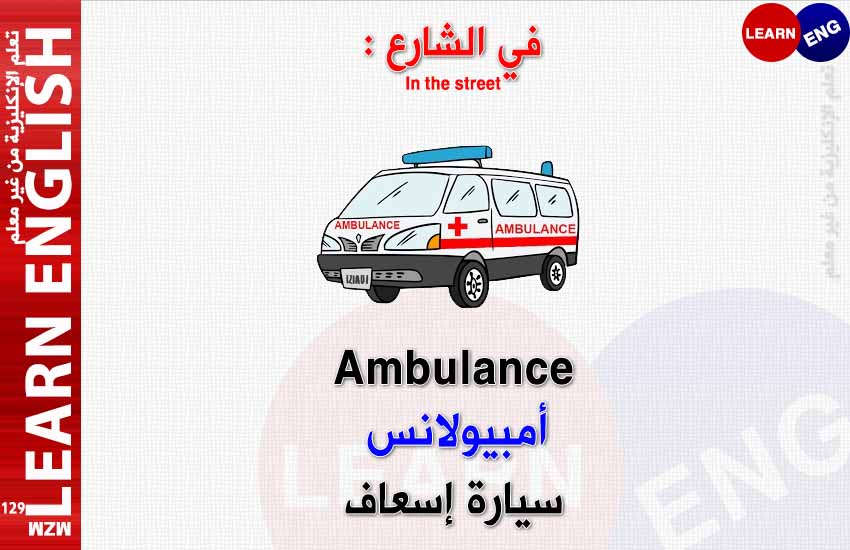 ���� ���� ������ �� ���� ������