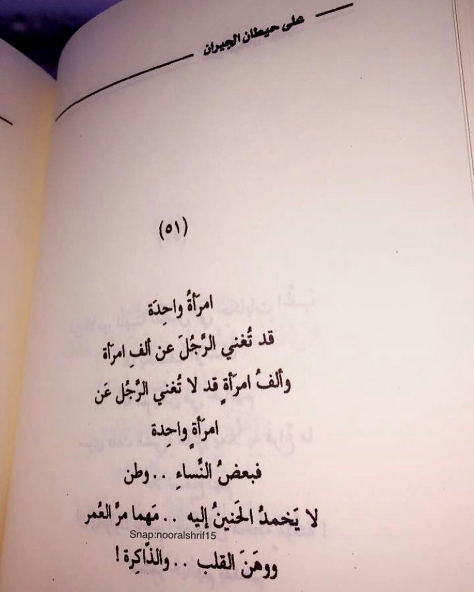 bntpal.com_150359884