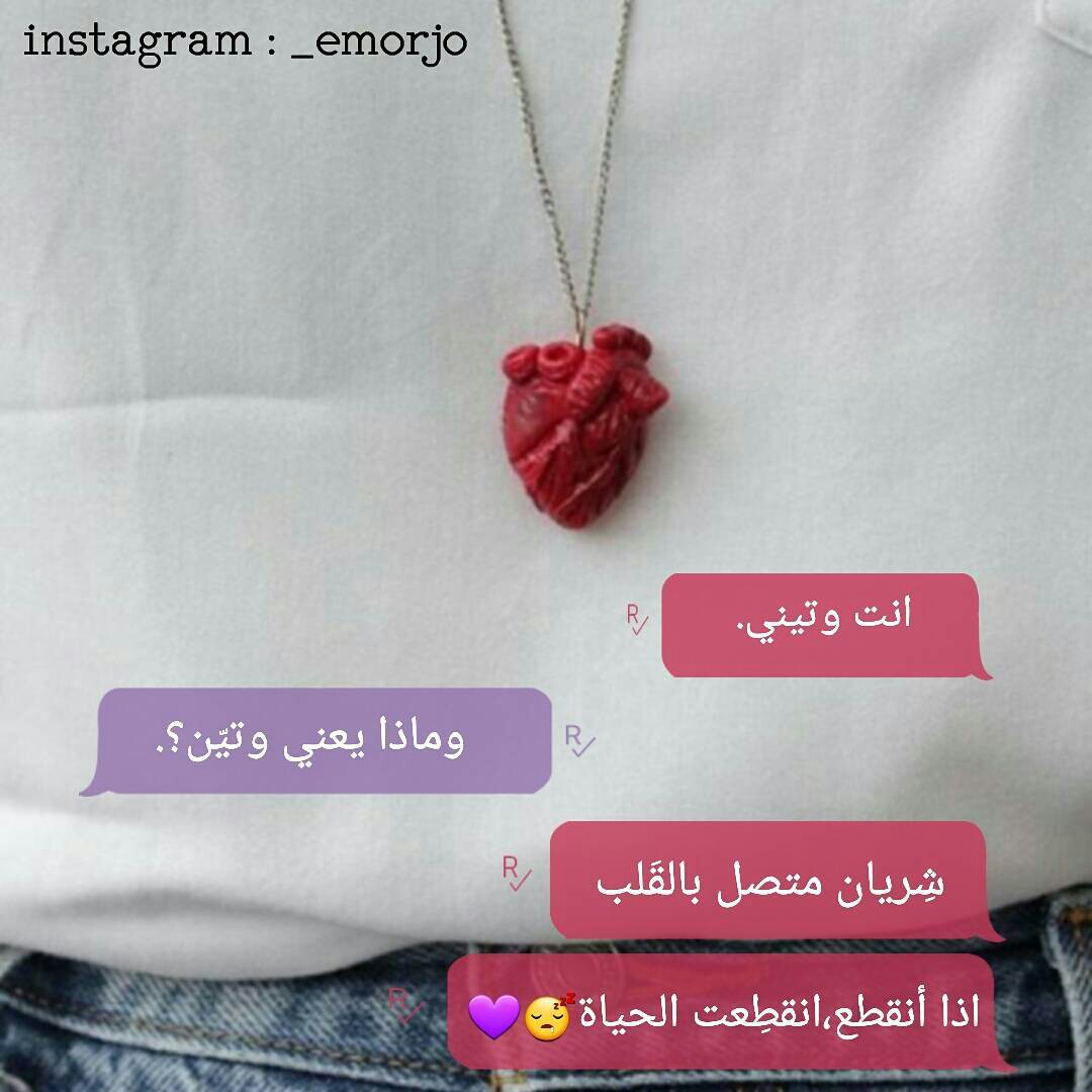 bntpal.com_150359884