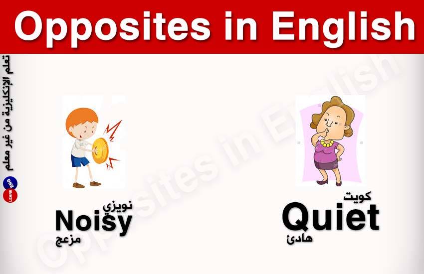 ���� ���� ������ �� ���� ������