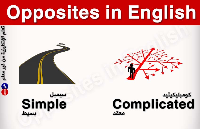 ���� ���� ������ �� ���� ������