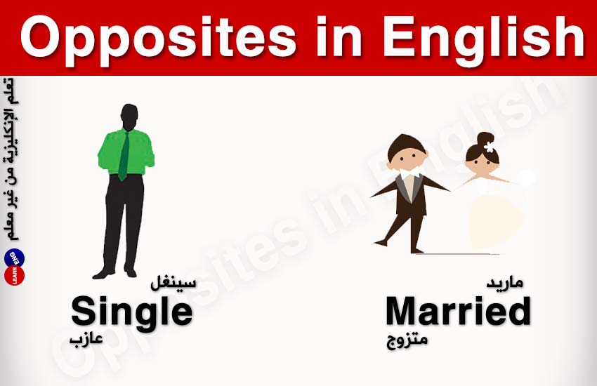 ���� ���� ������ �� ���� ������