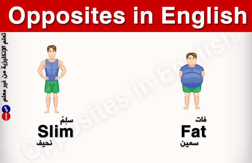 ���� ���� ������ �� ���� ������