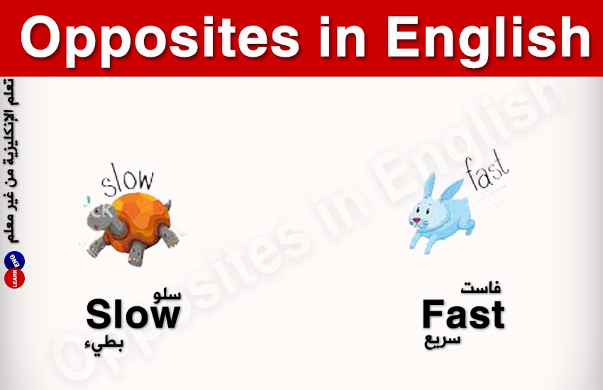 ���� ���� ������ �� ���� ������