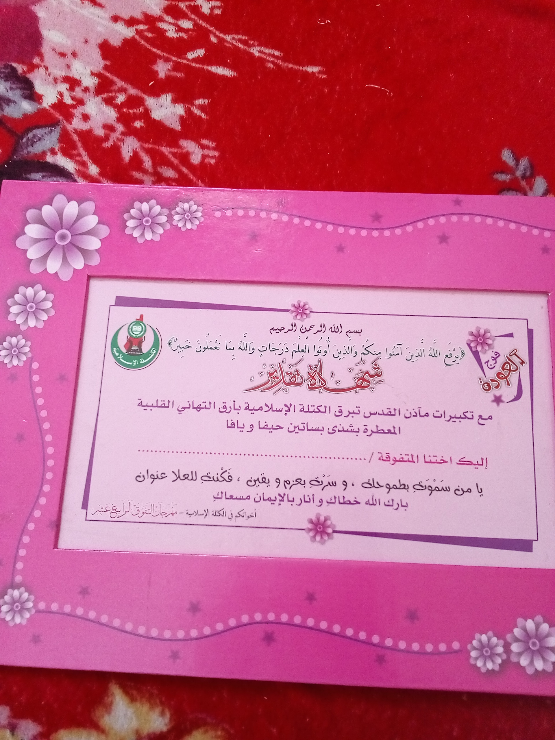  bntpal.com_150392729