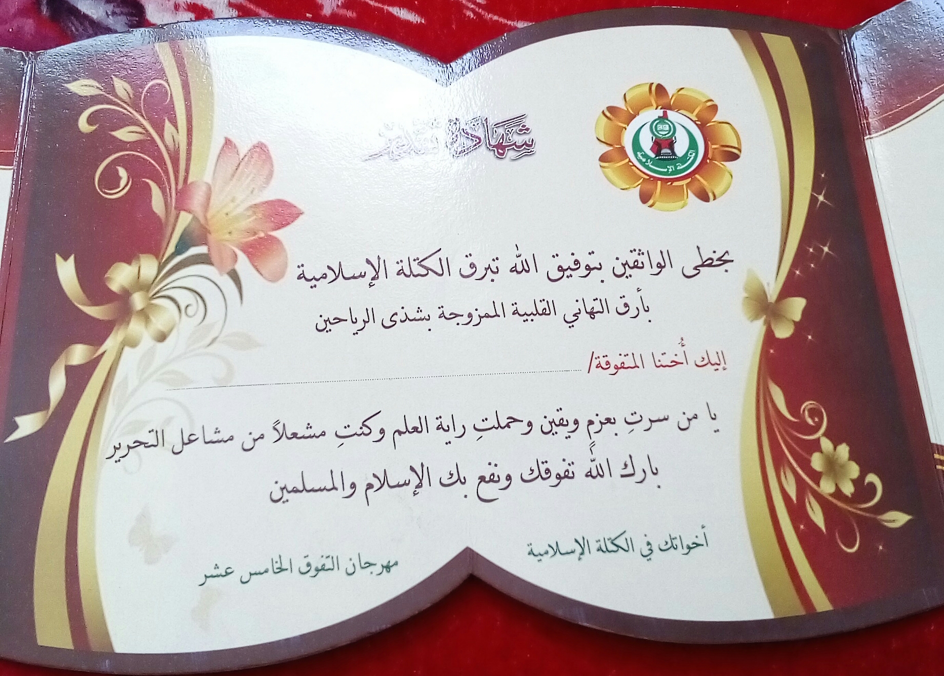  bntpal.com_150392738
