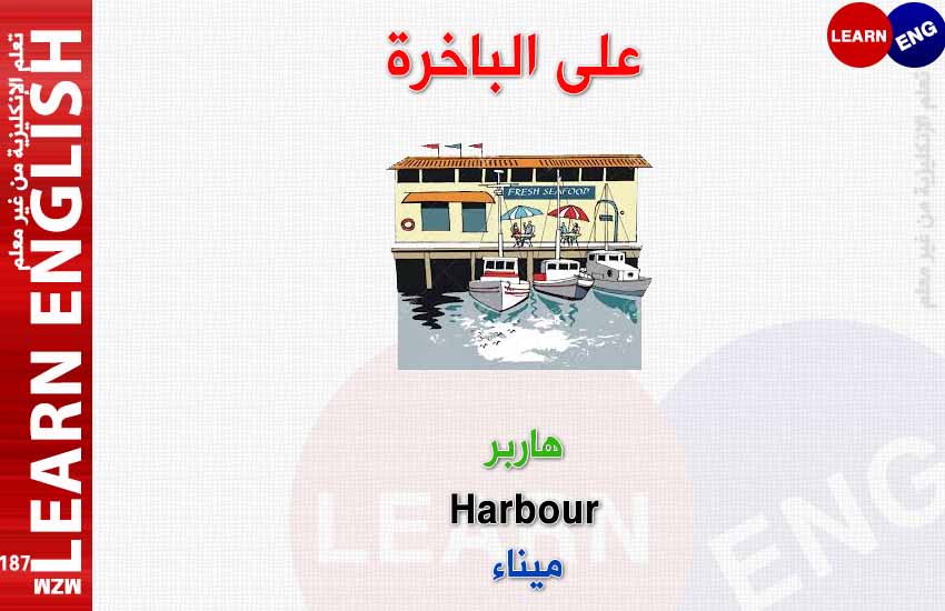 ���� ���� ������ �� ���� ������