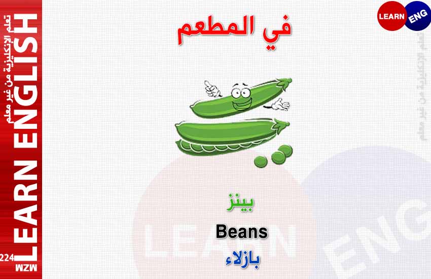 ���� ���� ������ �� ���� ������