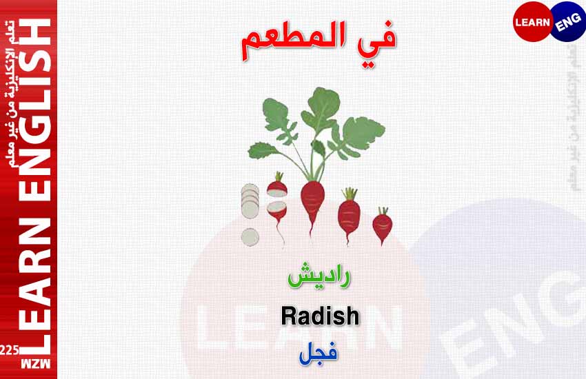 ���� ���� ������ �� ���� ������