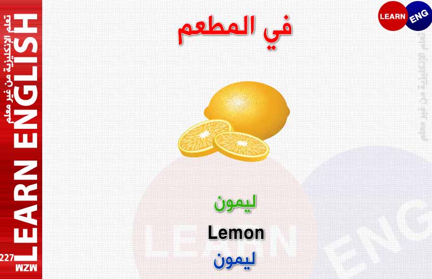 ���� ���� ������ �� ���� ������