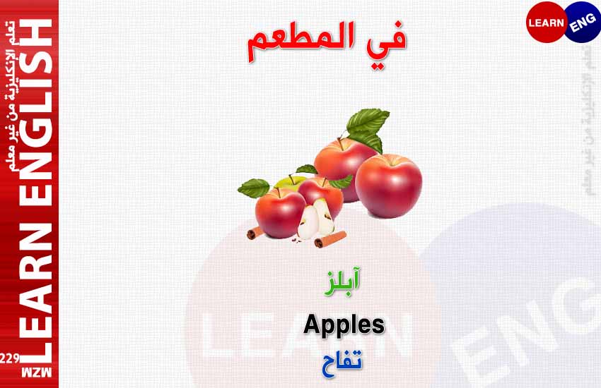 ���� ���� ������ �� ���� ������