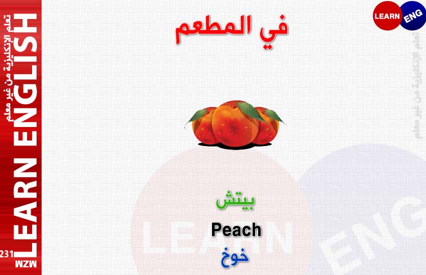 ���� ���� ������ �� ���� ������