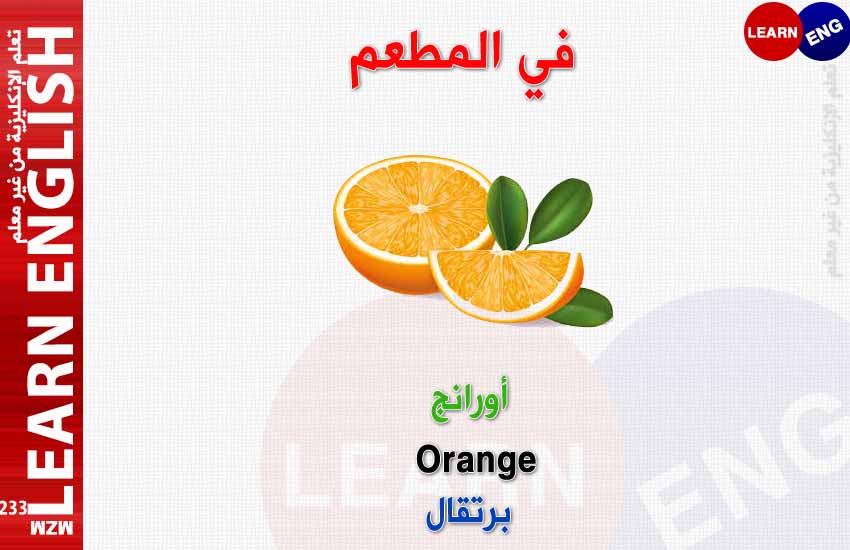 ���� ���� ������ �� ���� ������