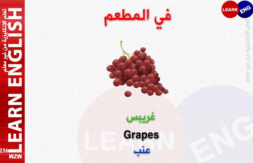 ���� ���� ������ �� ���� ������