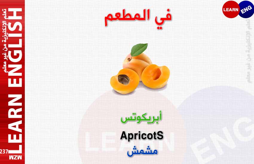 ���� ���� ������ �� ���� ������