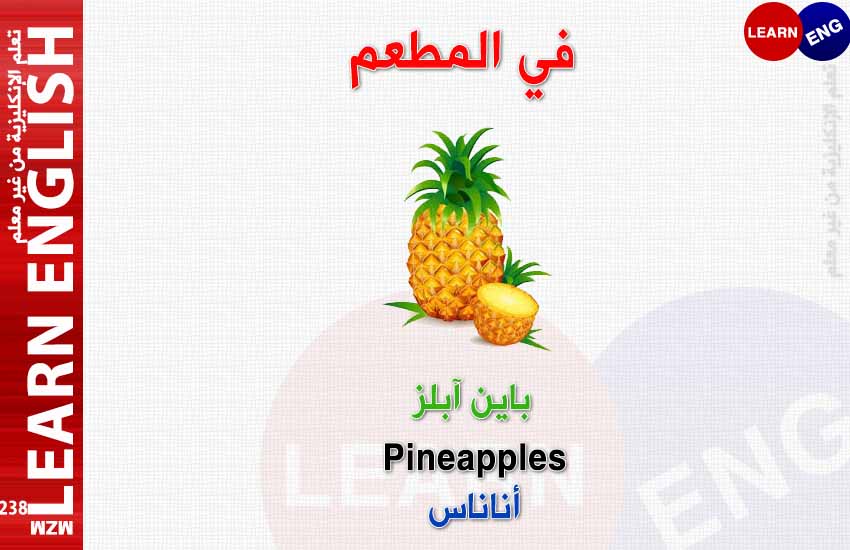 ���� ���� ������ �� ���� ������