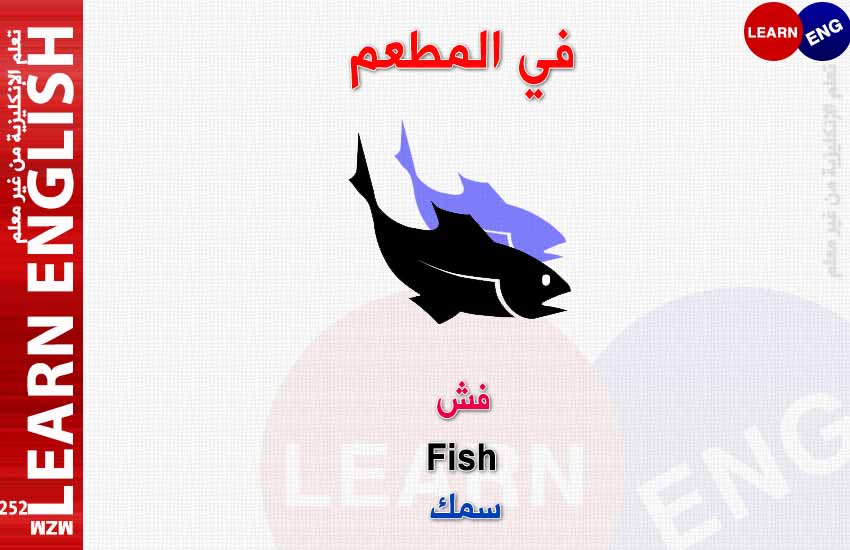 ���� ���� ������ �� ���� ������