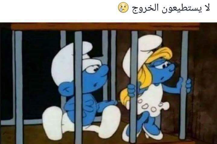  😂 bntpal.com_150531489