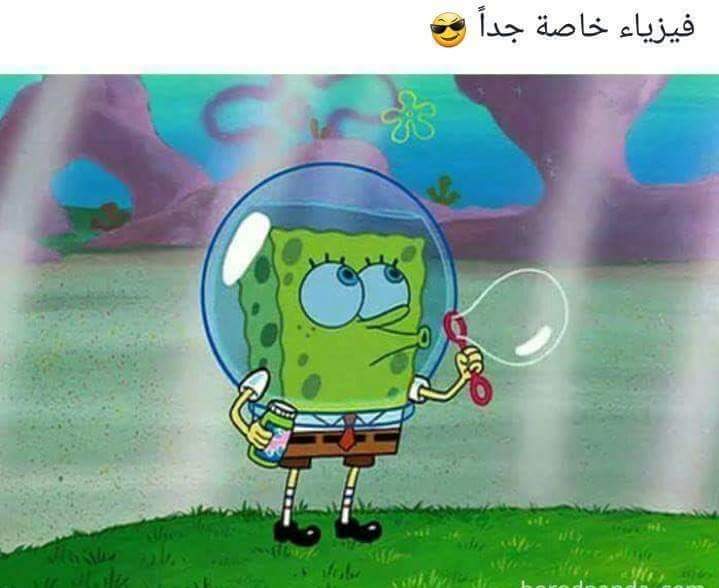  😂 bntpal.com_150531489