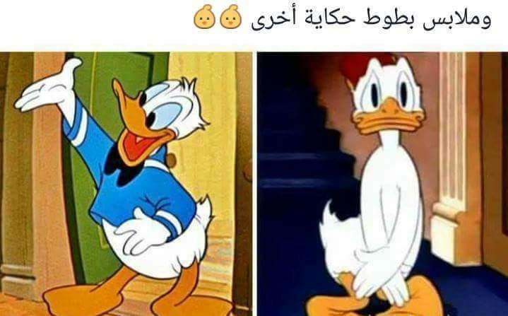  😂 bntpal.com_150531489