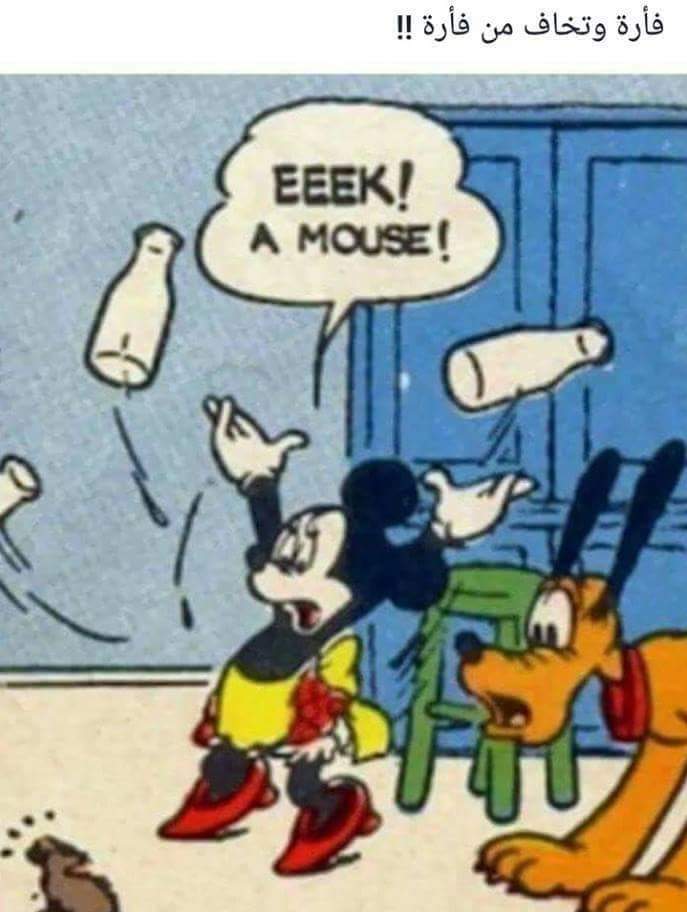  😂 bntpal.com_150531489