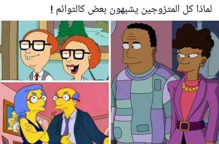  😂 bntpal.com_150531489
