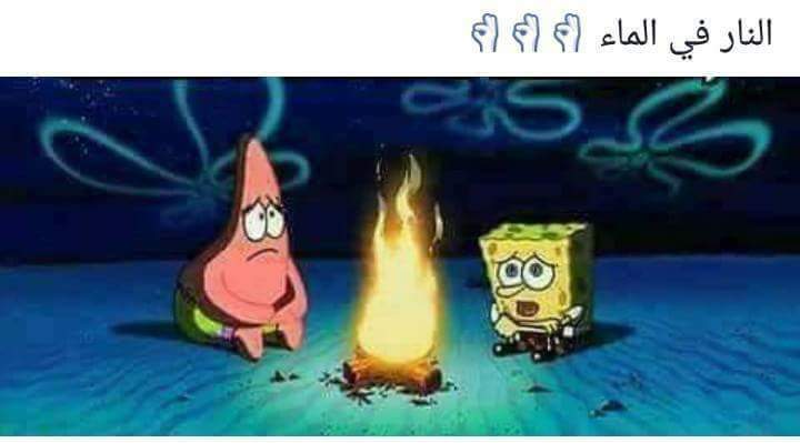  😂 bntpal.com_150531489