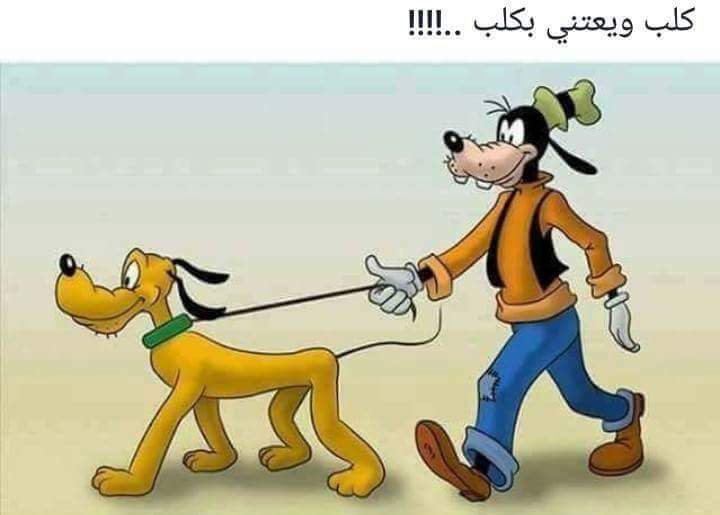  😂 bntpal.com_150531489