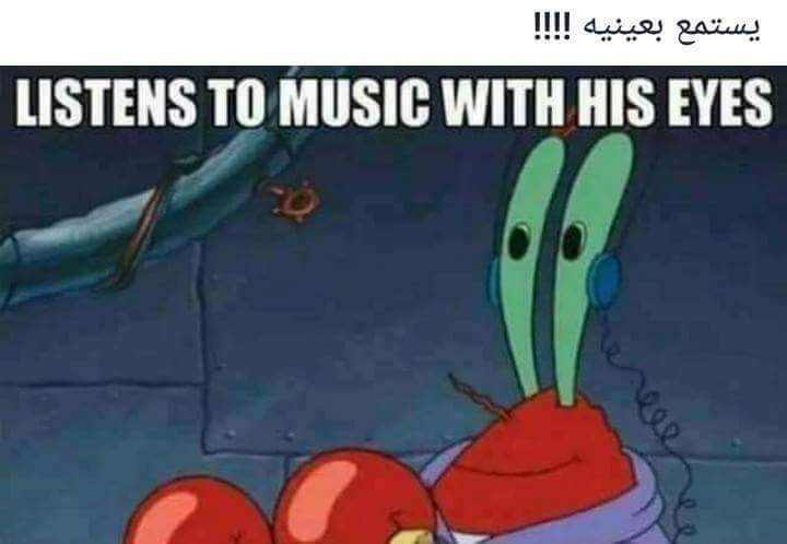  😂 bntpal.com_150531519
