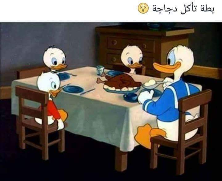  😂 bntpal.com_150531519