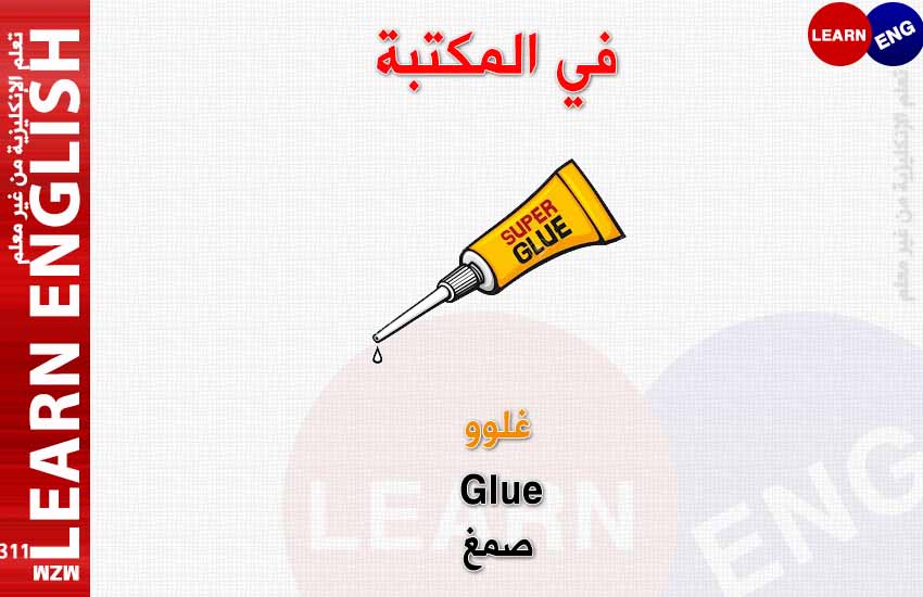 ���� ���� ������ �� ���� ������