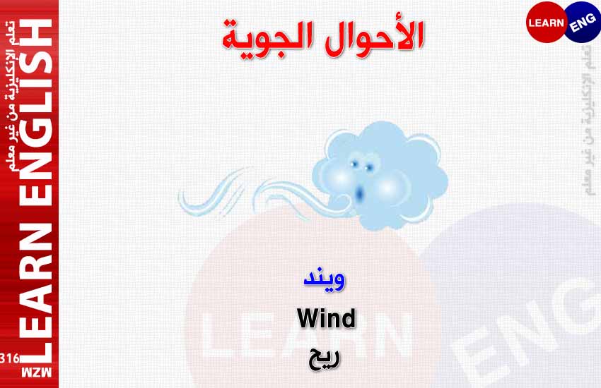 ���� ���� ������ �� ���� ������