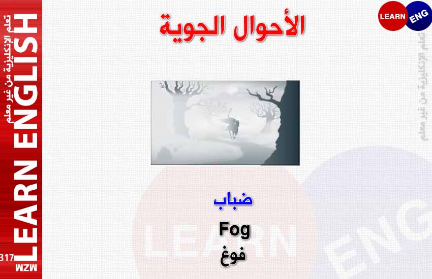 ���� ���� ������ �� ���� ������