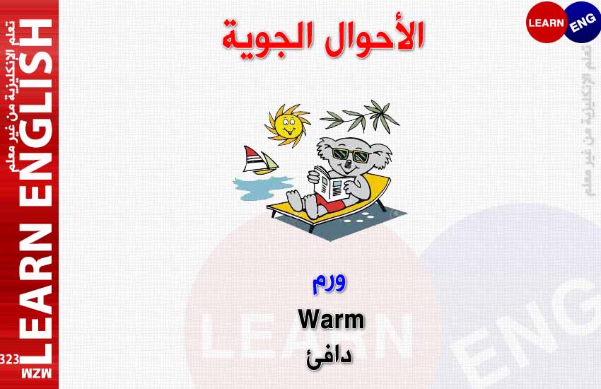 ���� ���� ������ �� ���� ������