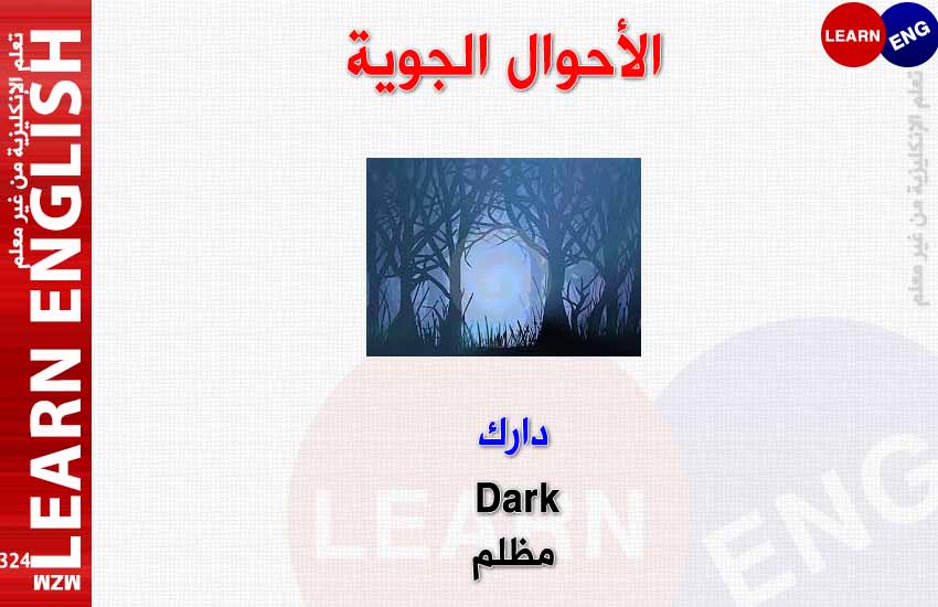 ���� ���� ������ �� ���� ������