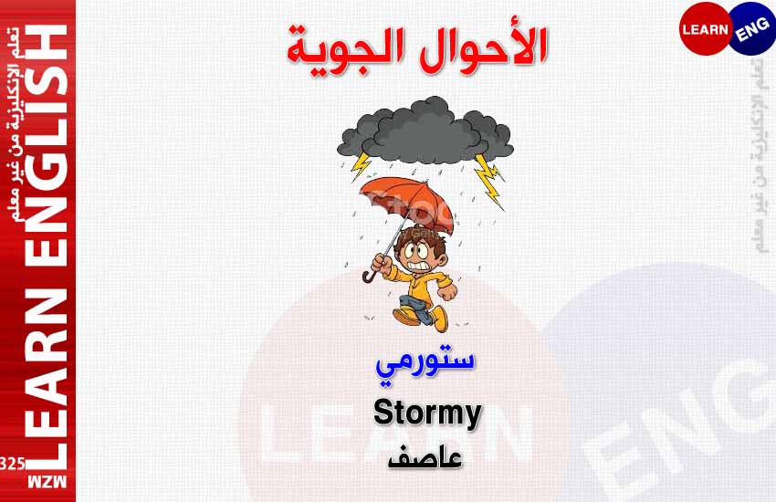 ���� ���� ������ �� ���� ������