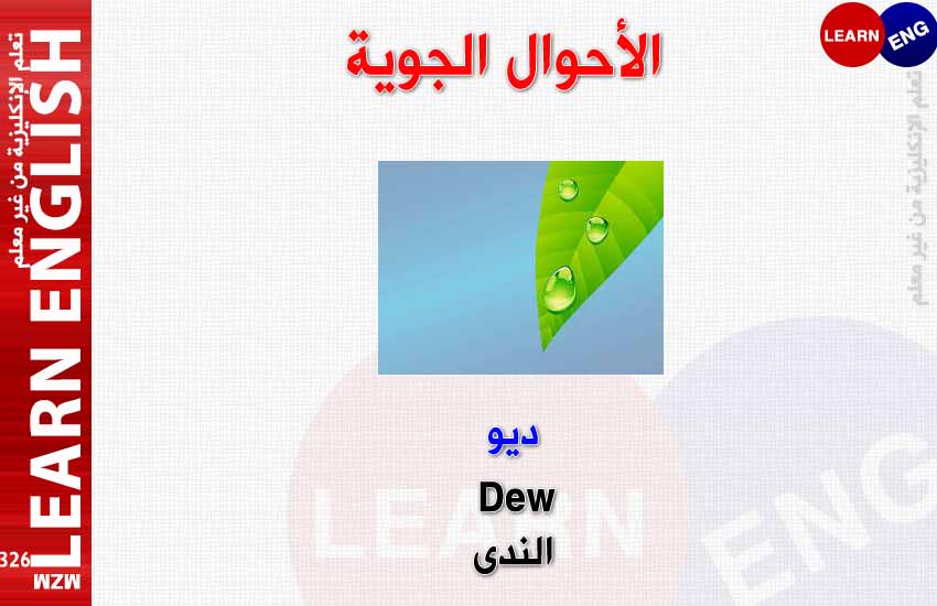 ���� ���� ������ �� ���� ������