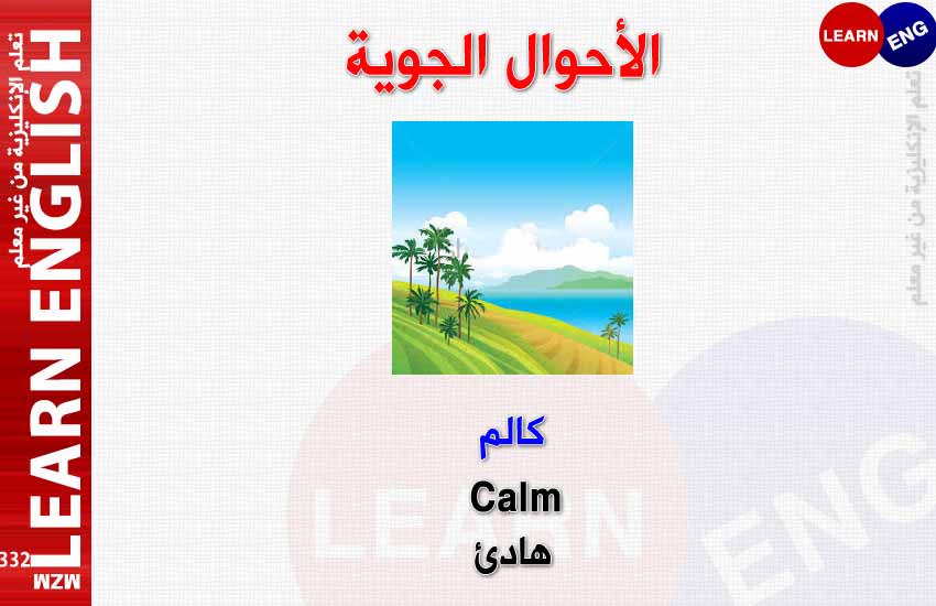 ���� ���� ������ �� ���� ������