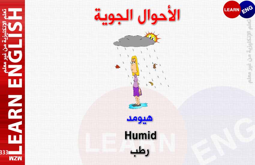 ���� ���� ������ �� ���� ������