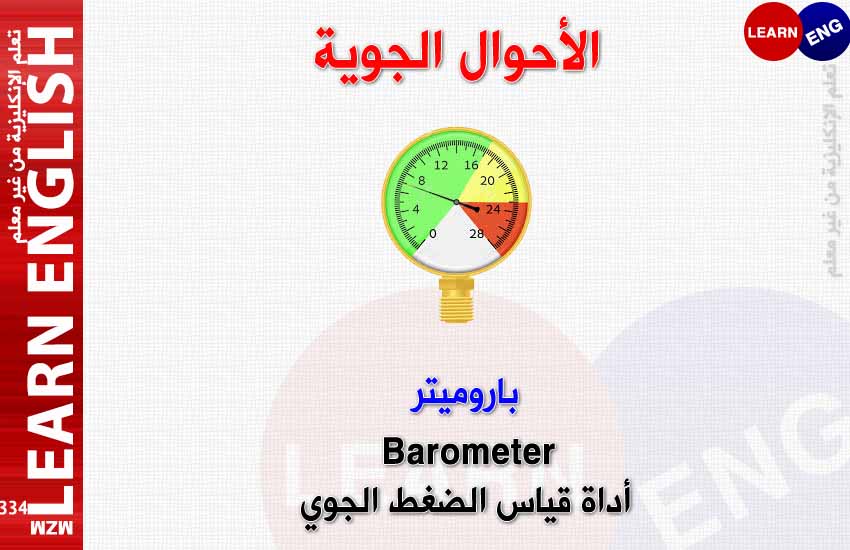 ���� ���� ������ �� ���� ������