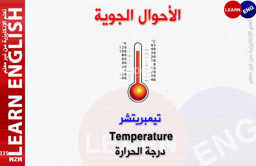 ���� ���� ������ �� ���� ������