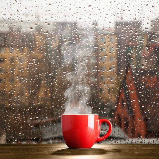 , bntpal.com_150678045