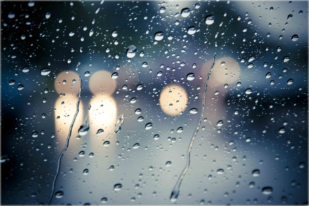 , bntpal.com_150678075