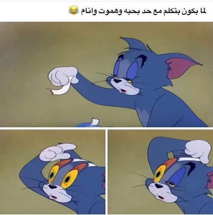... bntpal.com_150686108
