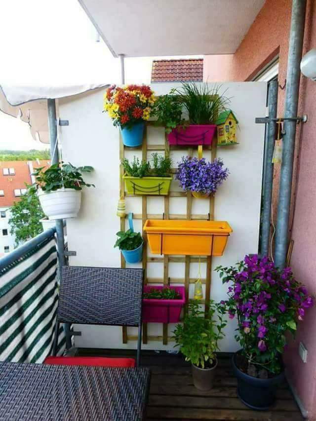  ❤ bntpal.com_150746749