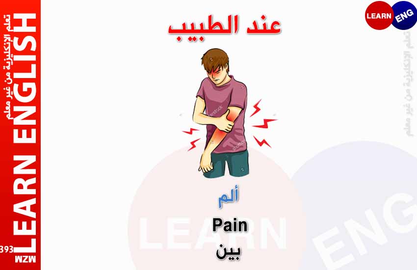 ���� ���� ������ �� ���� ������