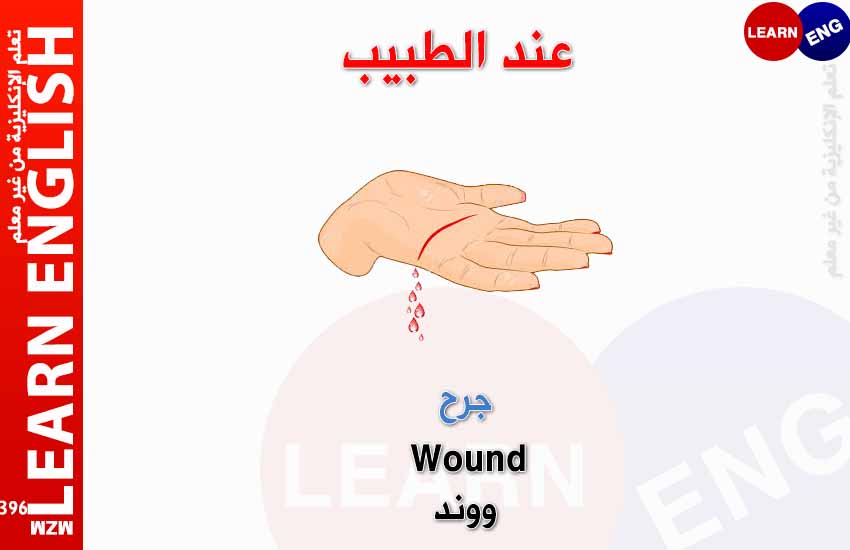 ���� ���� ������ �� ���� ������