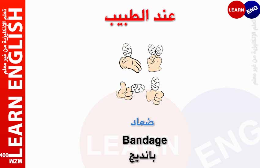 ���� ���� ������ �� ���� ������