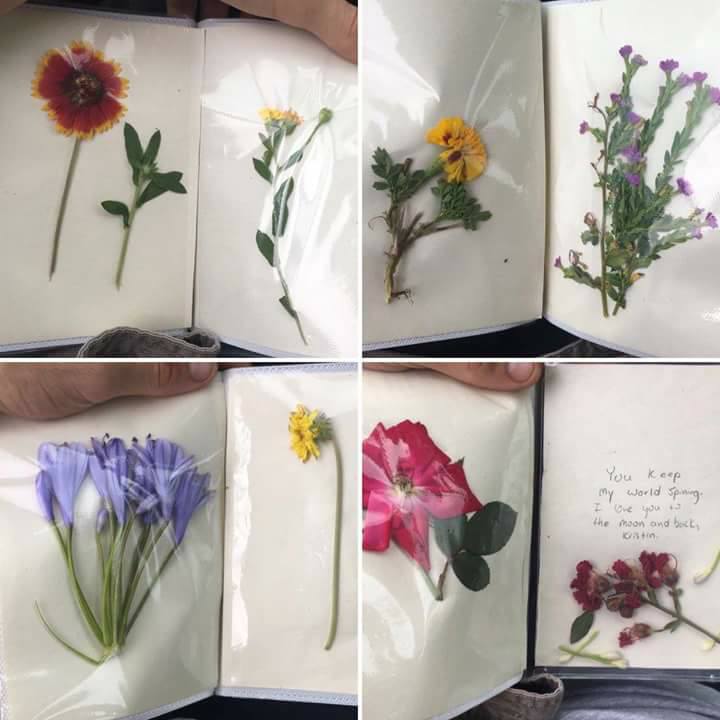  bntpal.com_150801276