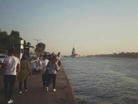  bntpal.com_150862301